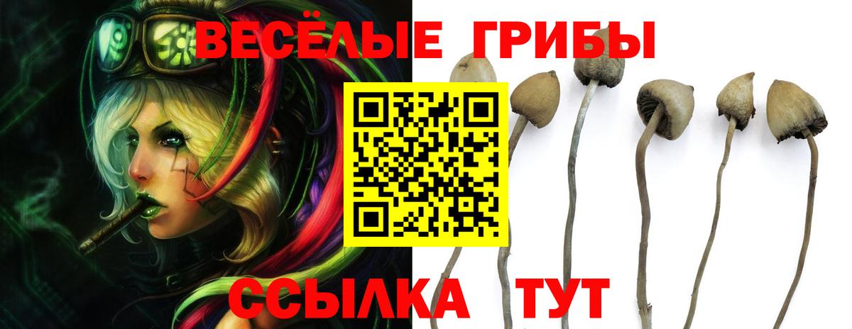 Галлюциногенные грибы мухоморы  Вход с VPN  Белая Калитва 